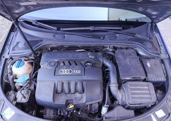 Audi A3 cena 11000 przebieg: 352000, rok produkcji 2004 z Nowy Sącz małe 79